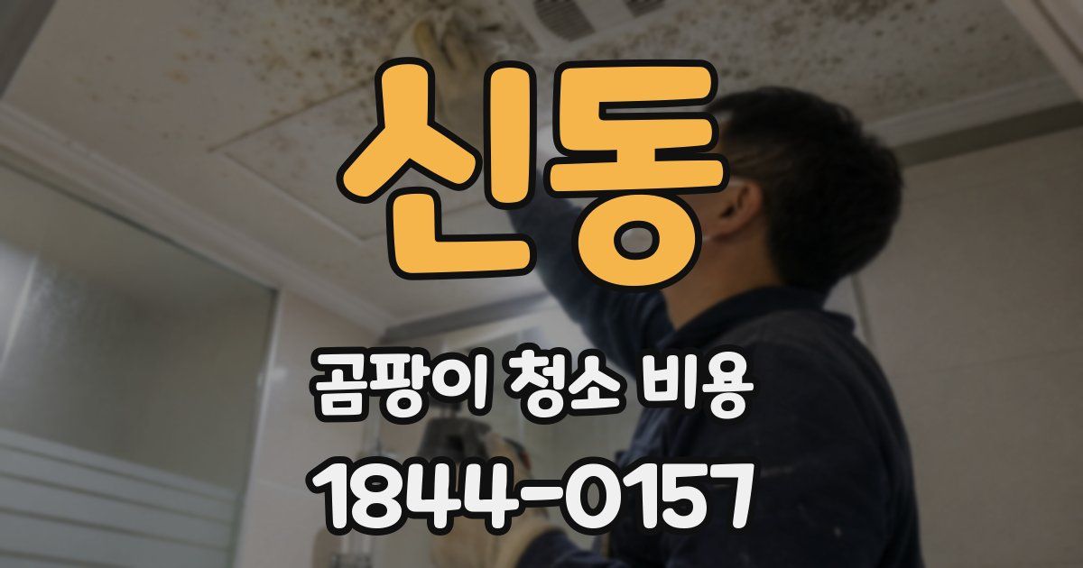 신동 곰팡이 청소 비용