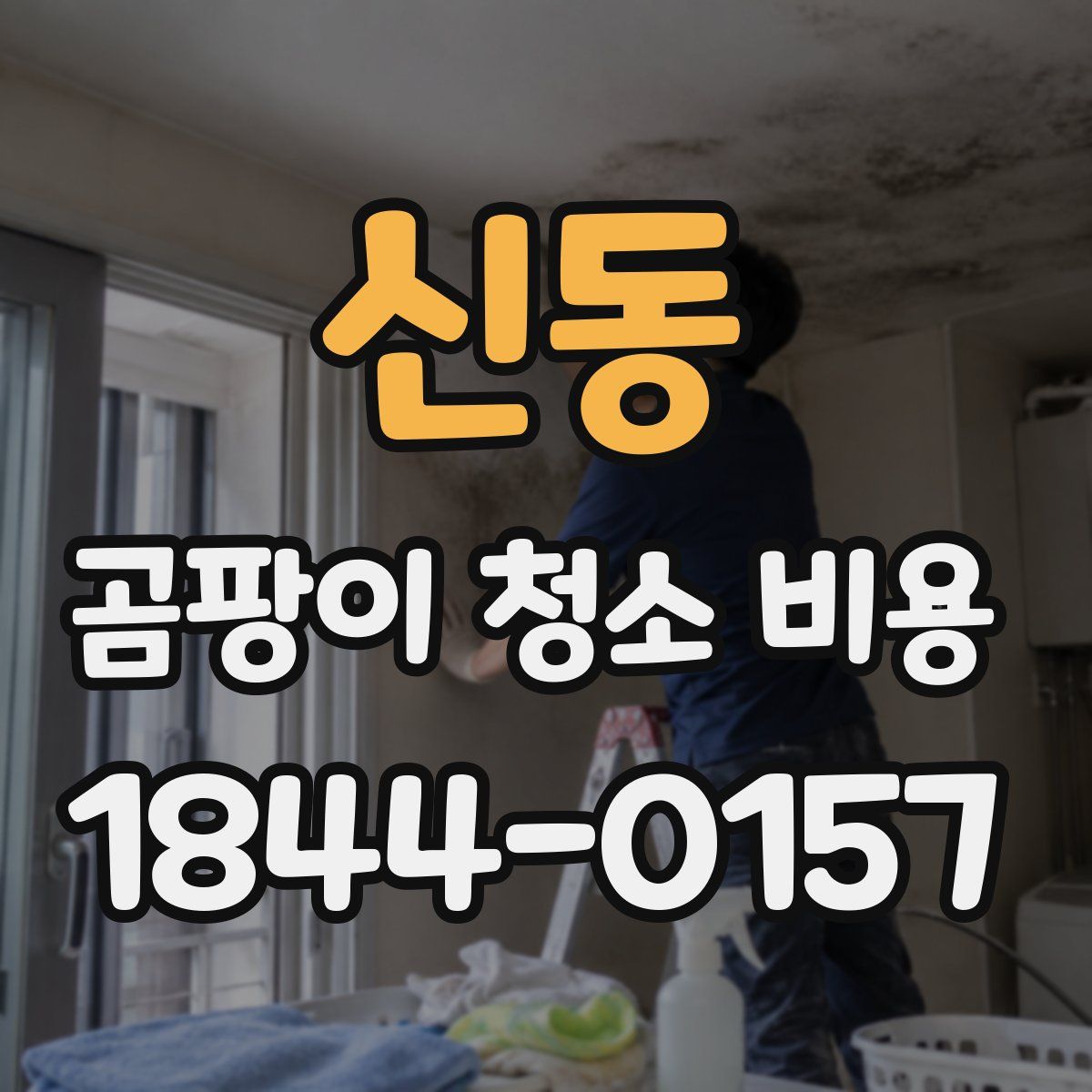 신동 곰팡이 청소 비용
