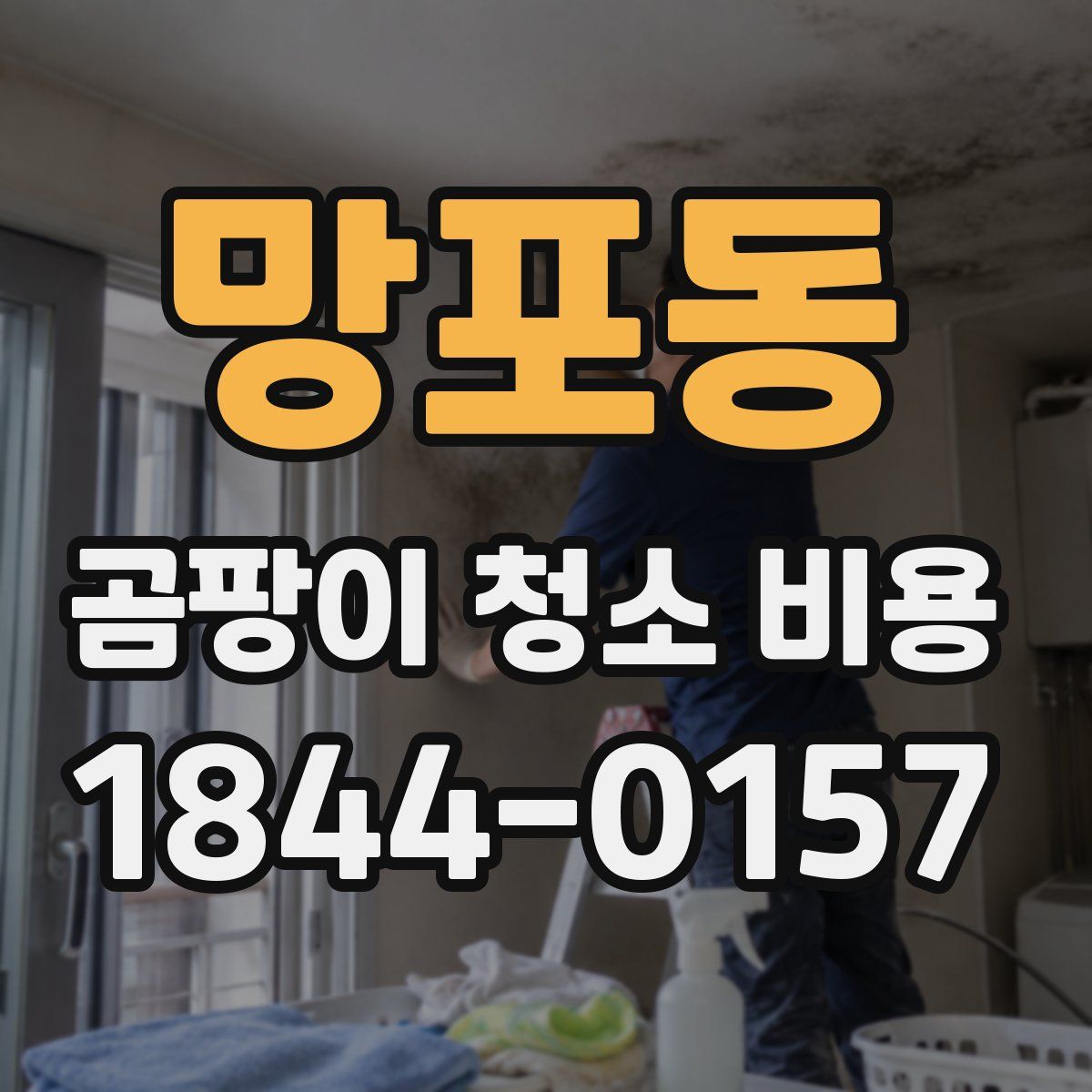 망포동 곰팡이 청소 비용
