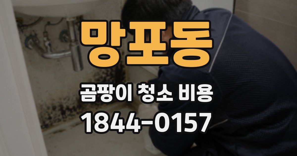 망포동 곰팡이 청소 비용