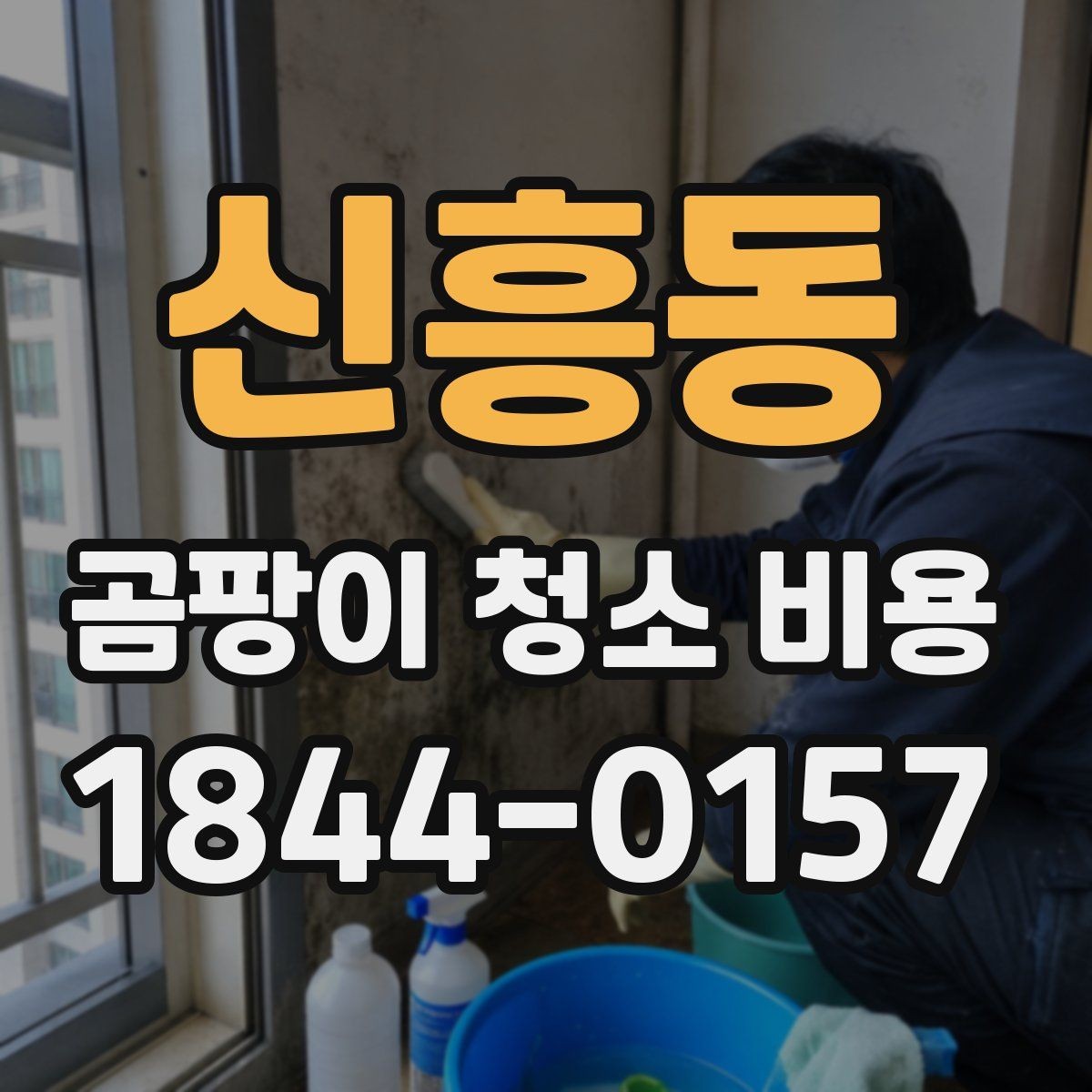 신흥동 곰팡이 청소 비용 상담 시 알려주면 좋은 정보들