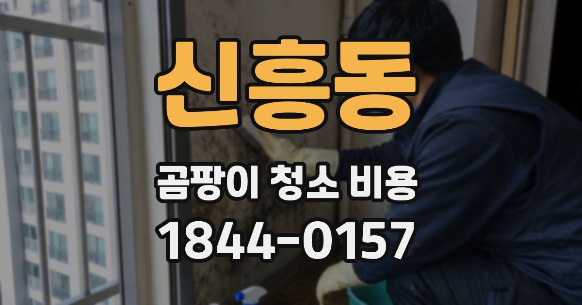 신흥동 곰팡이 청소 비용