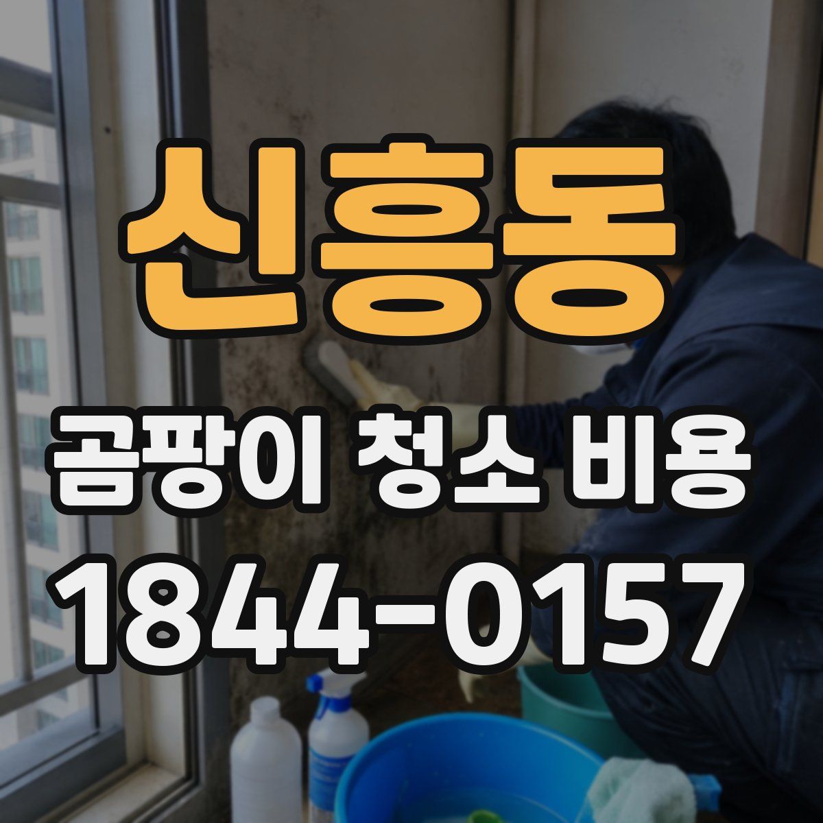신흥동 곰팡이 청소 비용