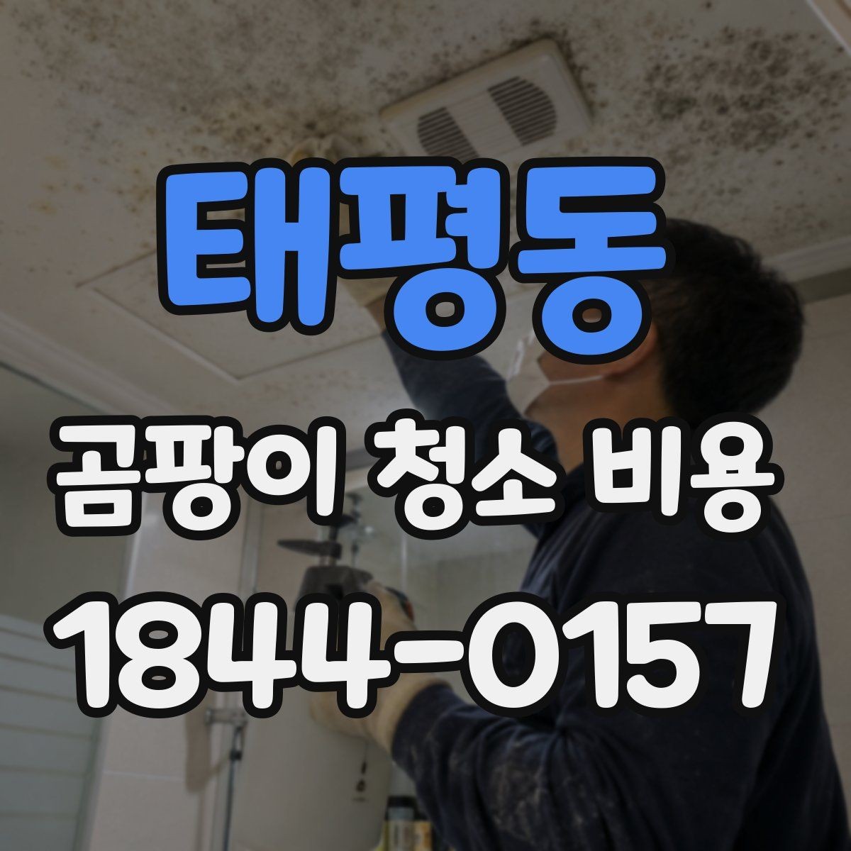 태평동 곰팡이 청소 비용 상담 시 계약서에서 볼 부분