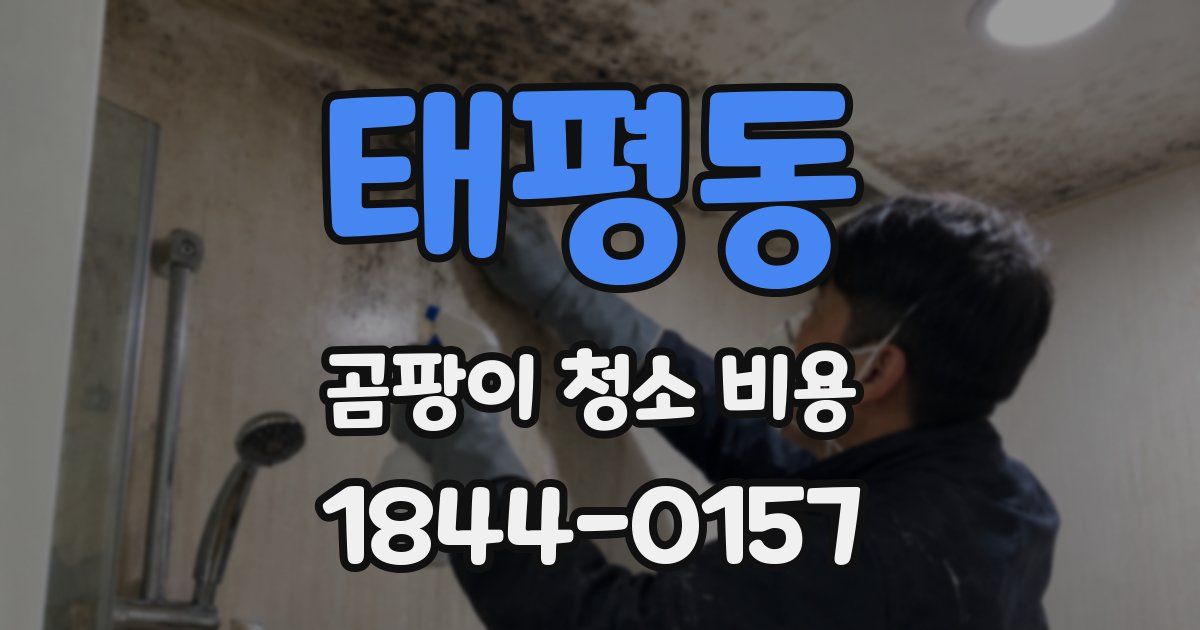 태평동 곰팡이 청소 비용