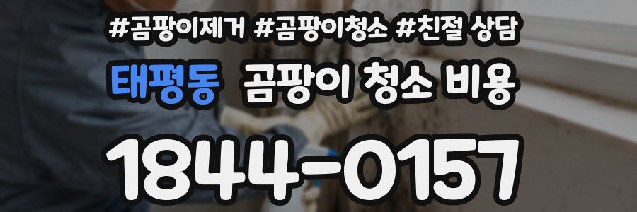 태평동 곰팡이 청소 비용