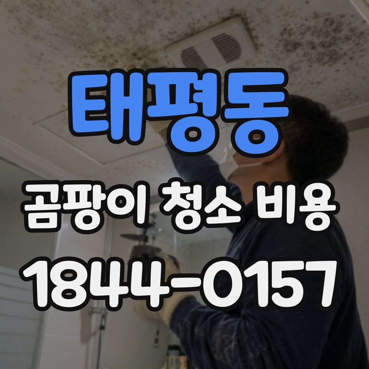 태평동 곰팡이 청소 비용