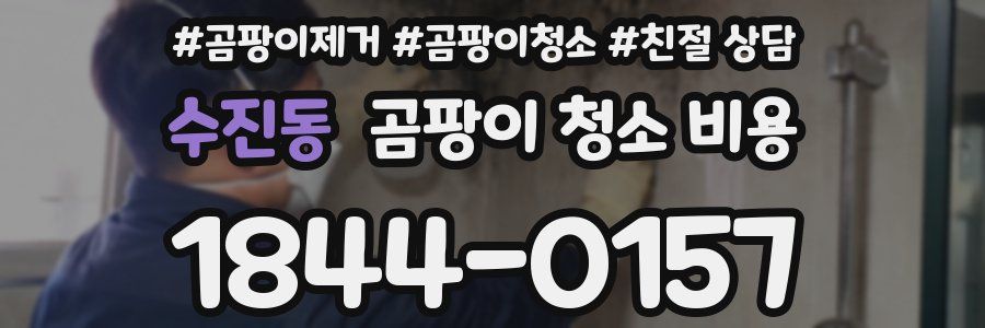 수진동 곰팡이 청소 비용