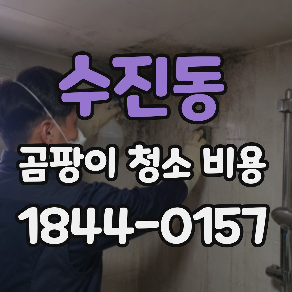 수진동 곰팡이 청소 비용