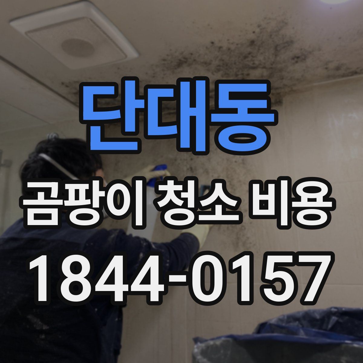 단대동 곰팡이 청소 비용