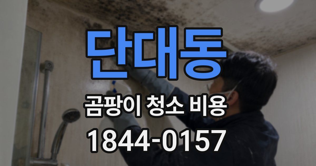 단대동 곰팡이 청소 비용