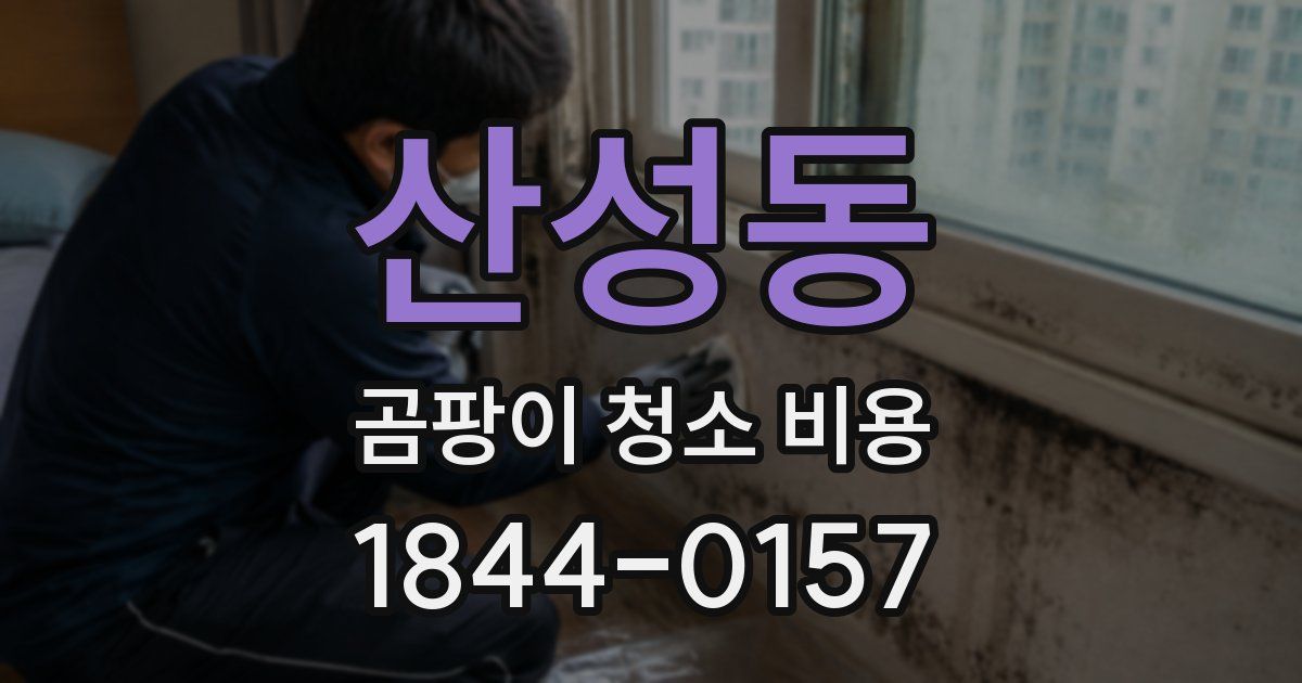 산성동 곰팡이 청소 비용