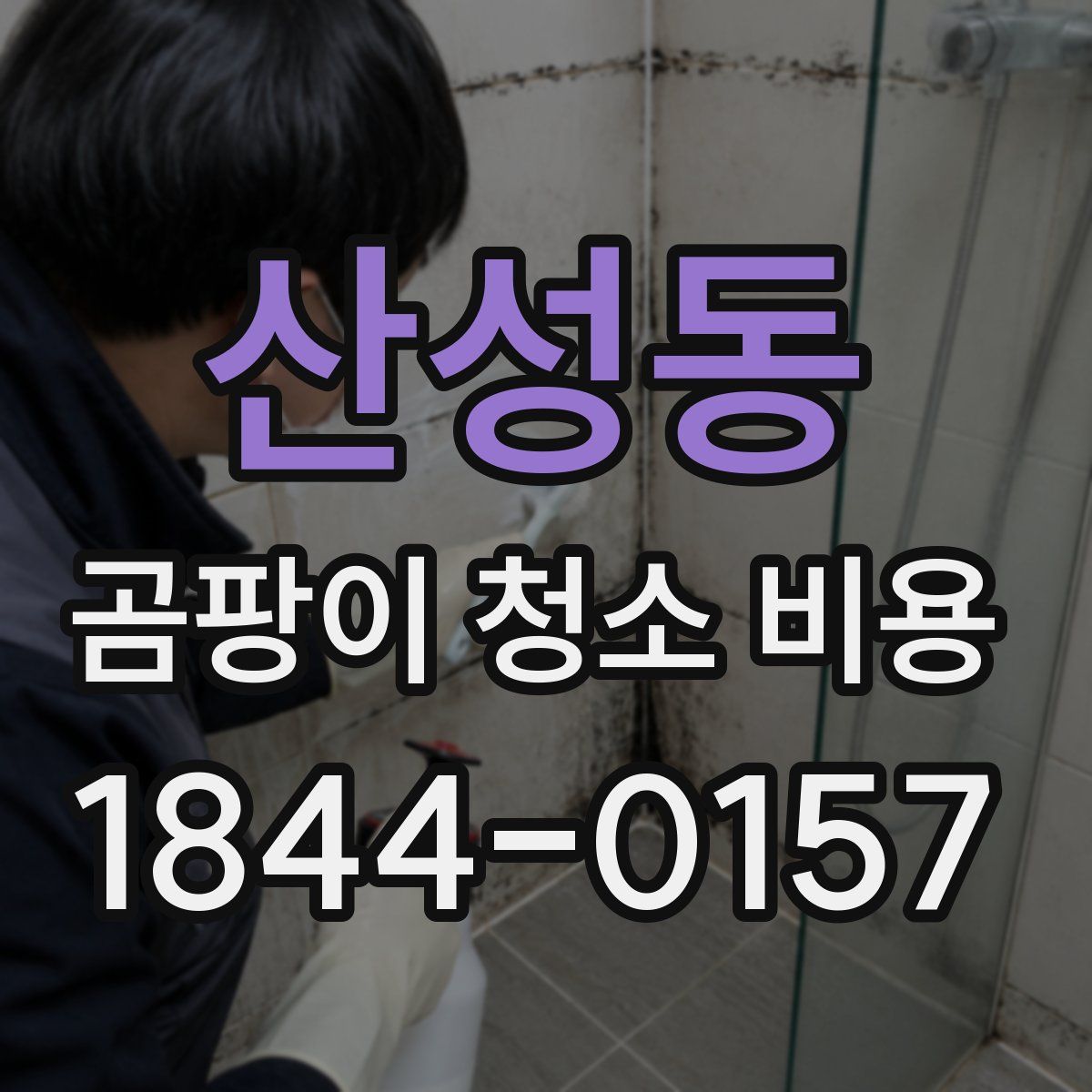 산성동 곰팡이 청소 비용