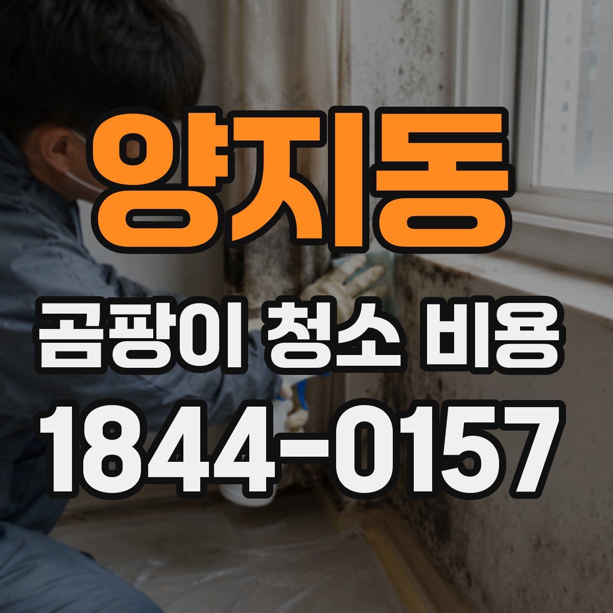 양지동 곰팡이 청소 비용