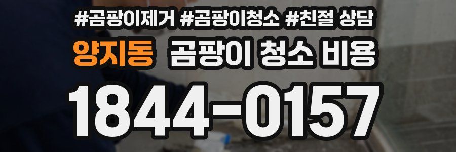 양지동 곰팡이 청소 비용