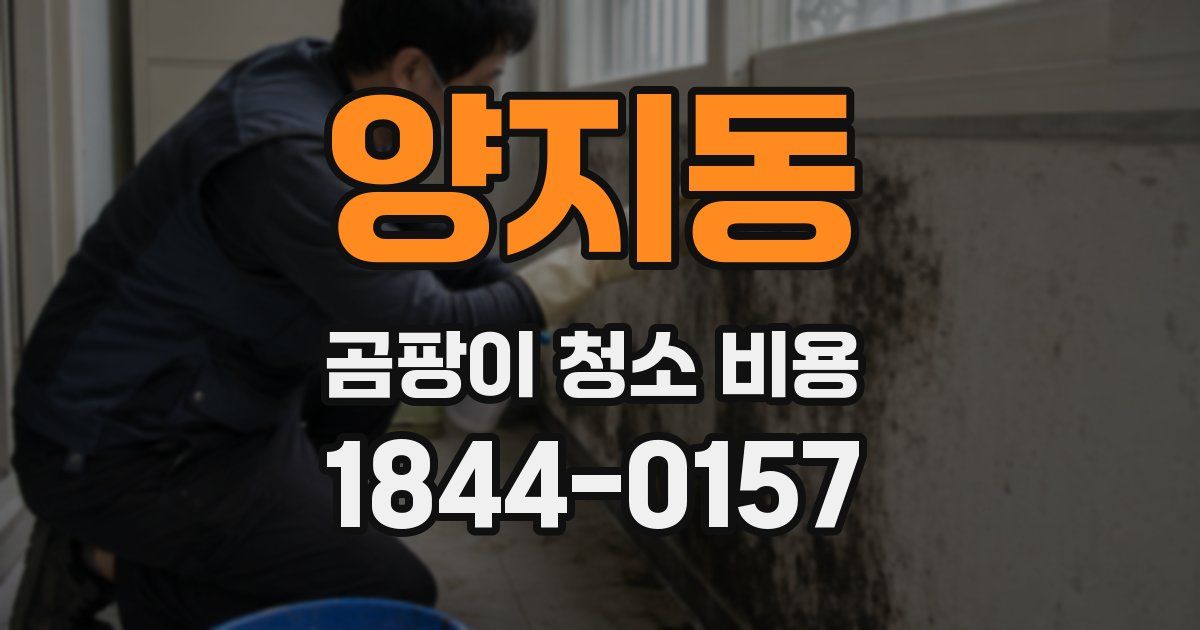 양지동 곰팡이 청소 비용