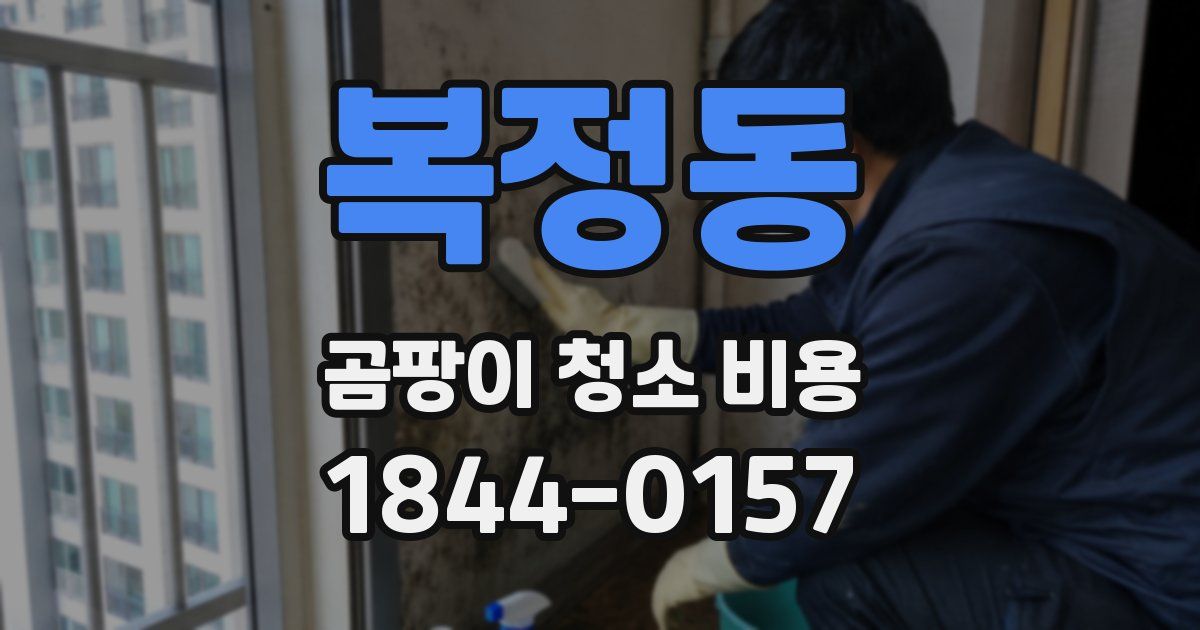 복정동 곰팡이 청소 비용