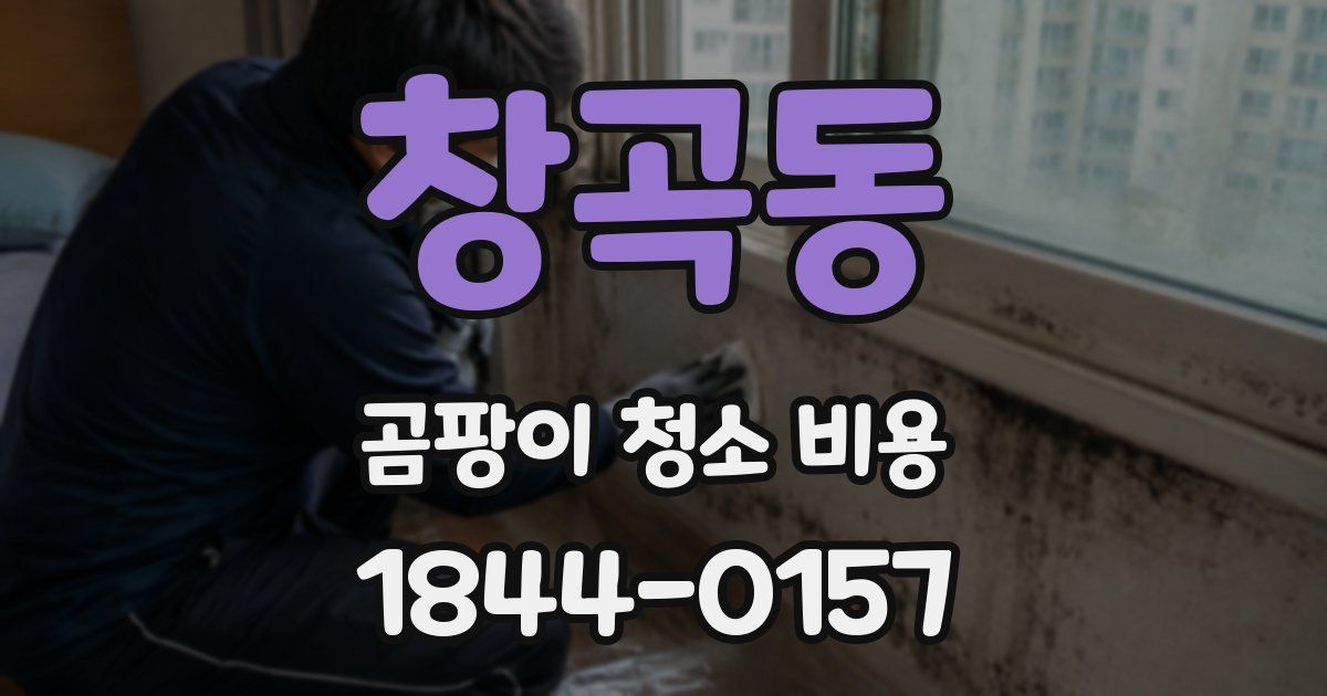 창곡동 곰팡이 청소 비용