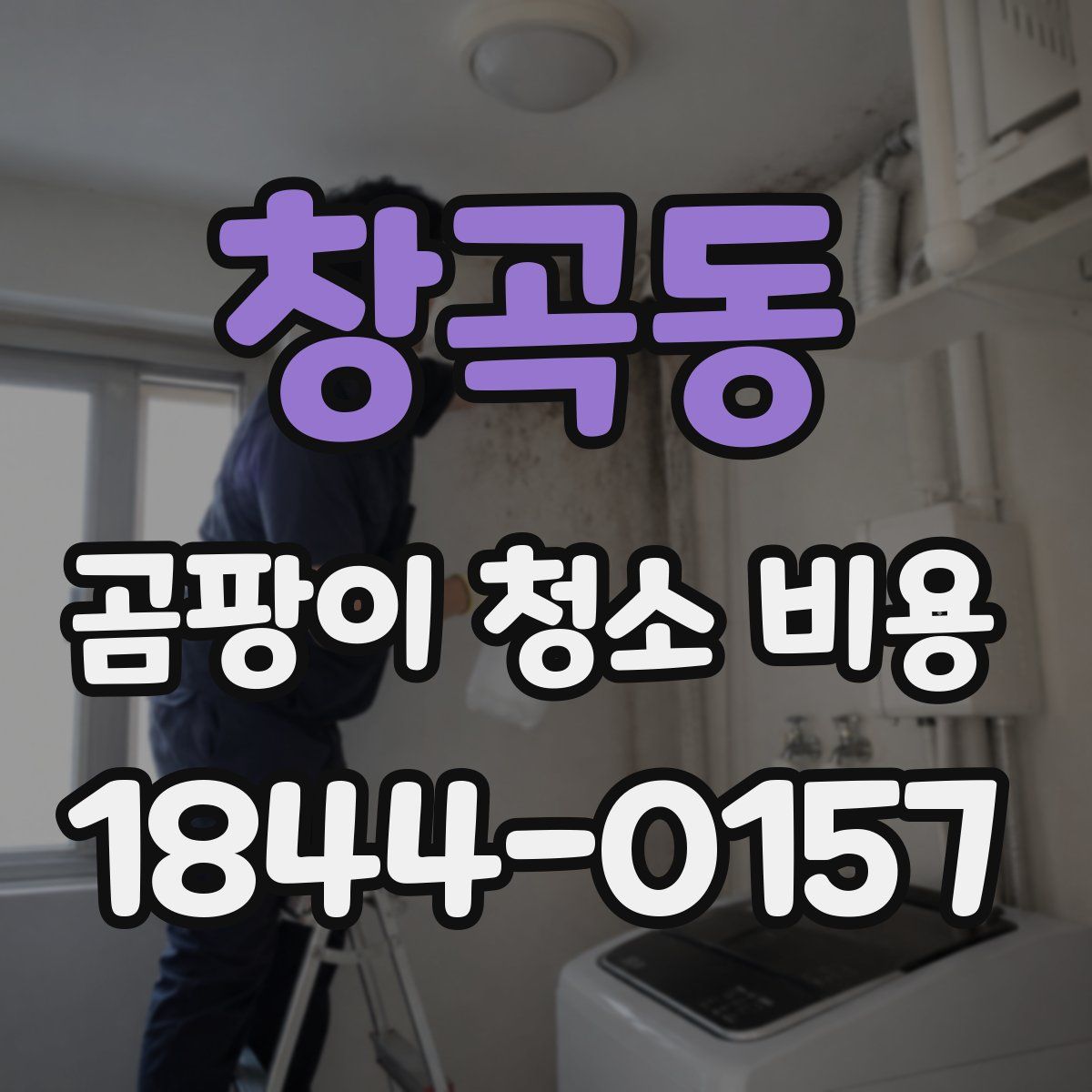 창곡동 곰팡이 청소 비용