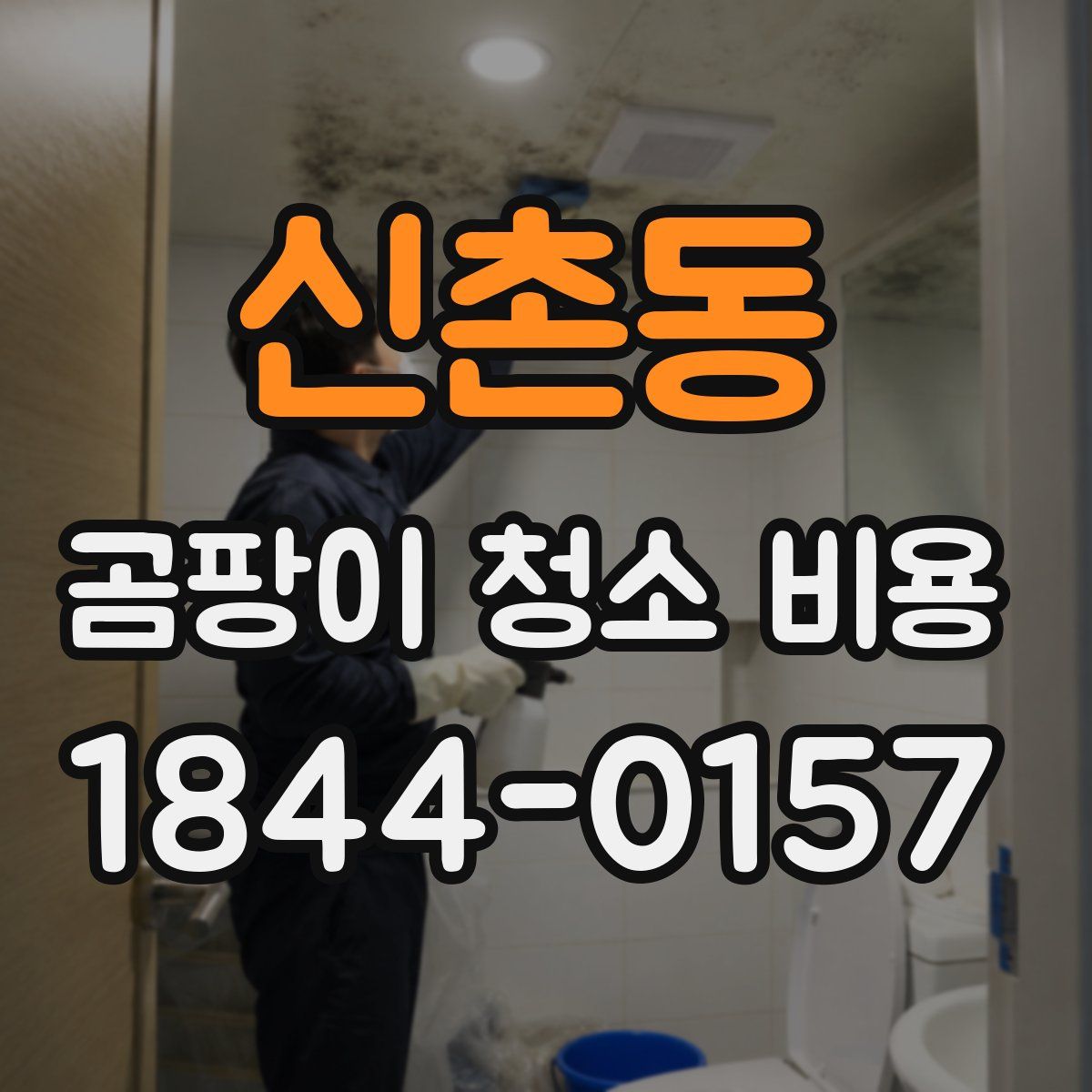 신촌동 곰팡이 청소 비용