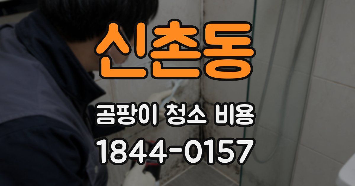 신촌동 곰팡이 청소 비용
