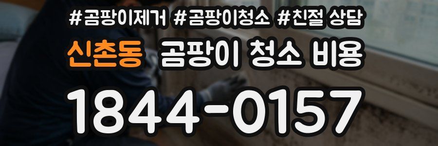 신촌동 곰팡이 청소 비용