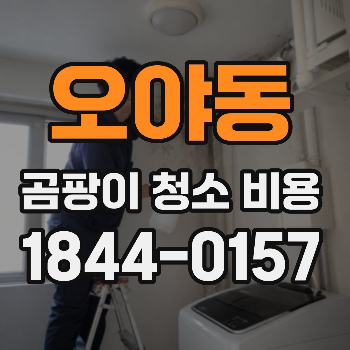 오야동 곰팡이 청소 비용