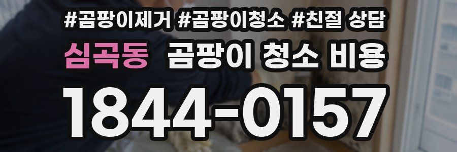 심곡동 곰팡이 청소 비용