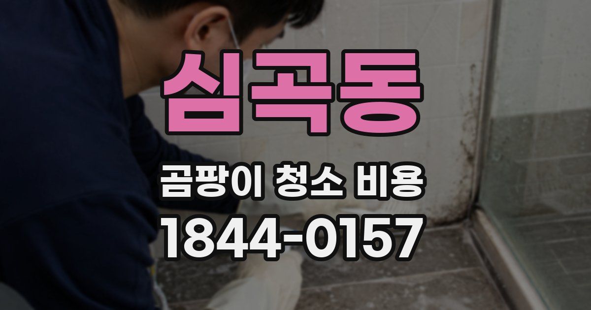 심곡동 곰팡이 청소 비용
