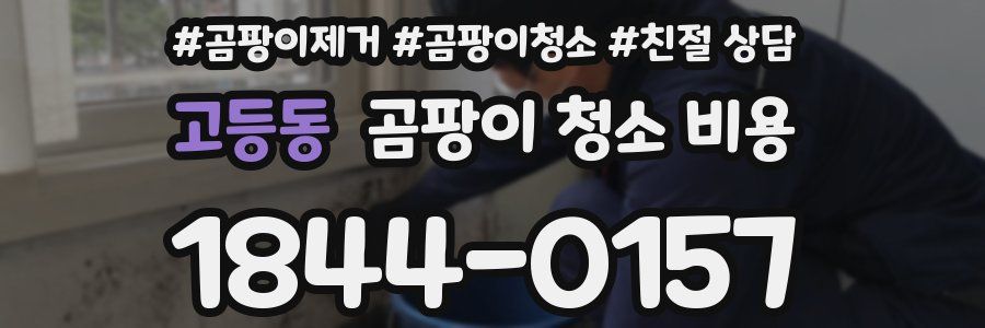 고등동 곰팡이 청소 비용