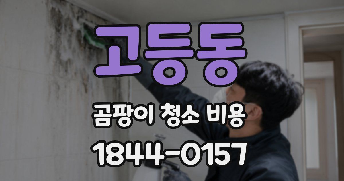 고등동 곰팡이 청소 비용