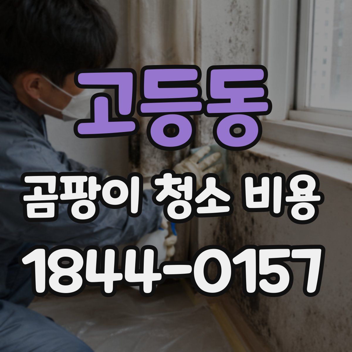 고등동 곰팡이 청소 비용