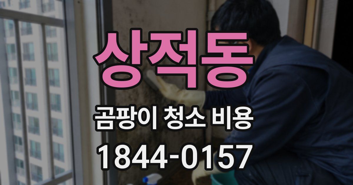 상적동 곰팡이 청소 비용