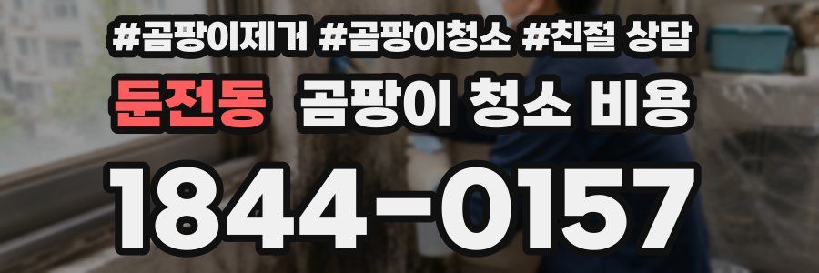 둔전동 곰팡이 청소 비용