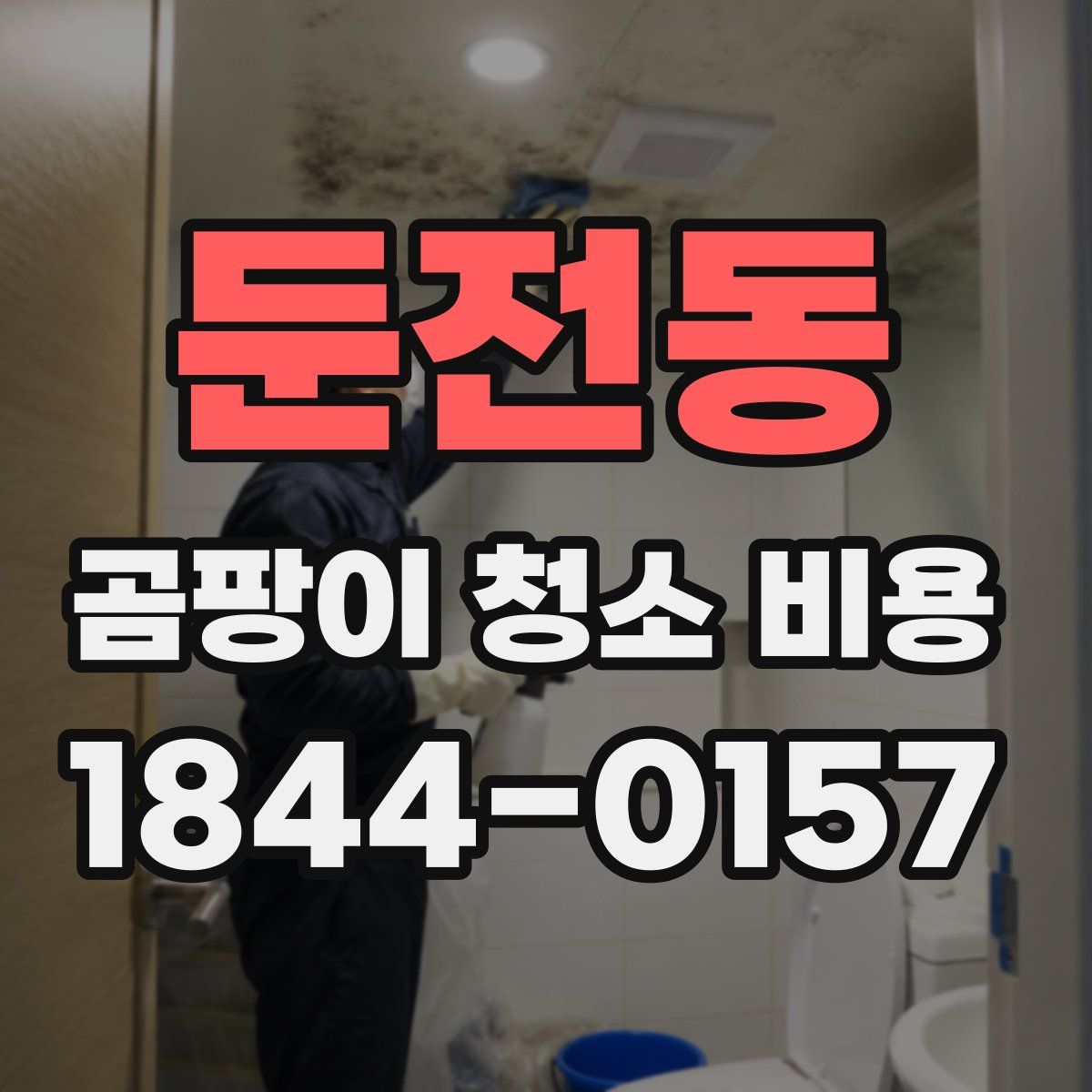 둔전동 곰팡이 청소 비용