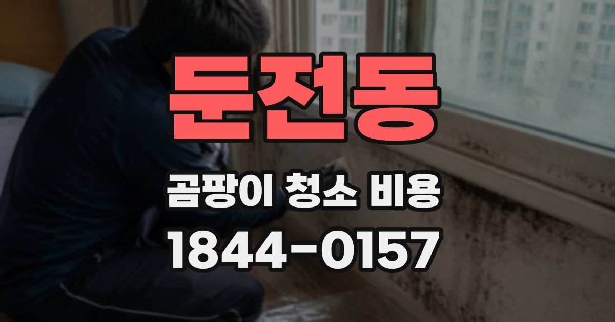 둔전동 곰팡이 청소 비용