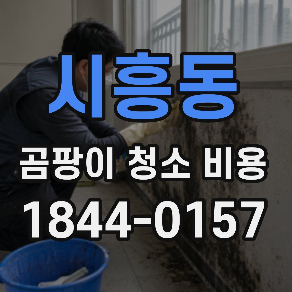 시흥동 곰팡이 청소 비용