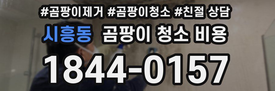 시흥동 곰팡이 청소 비용