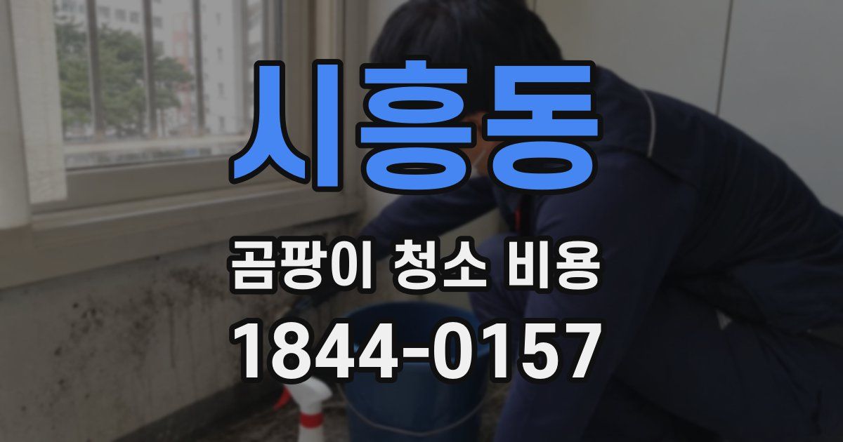 시흥동 곰팡이 청소 비용