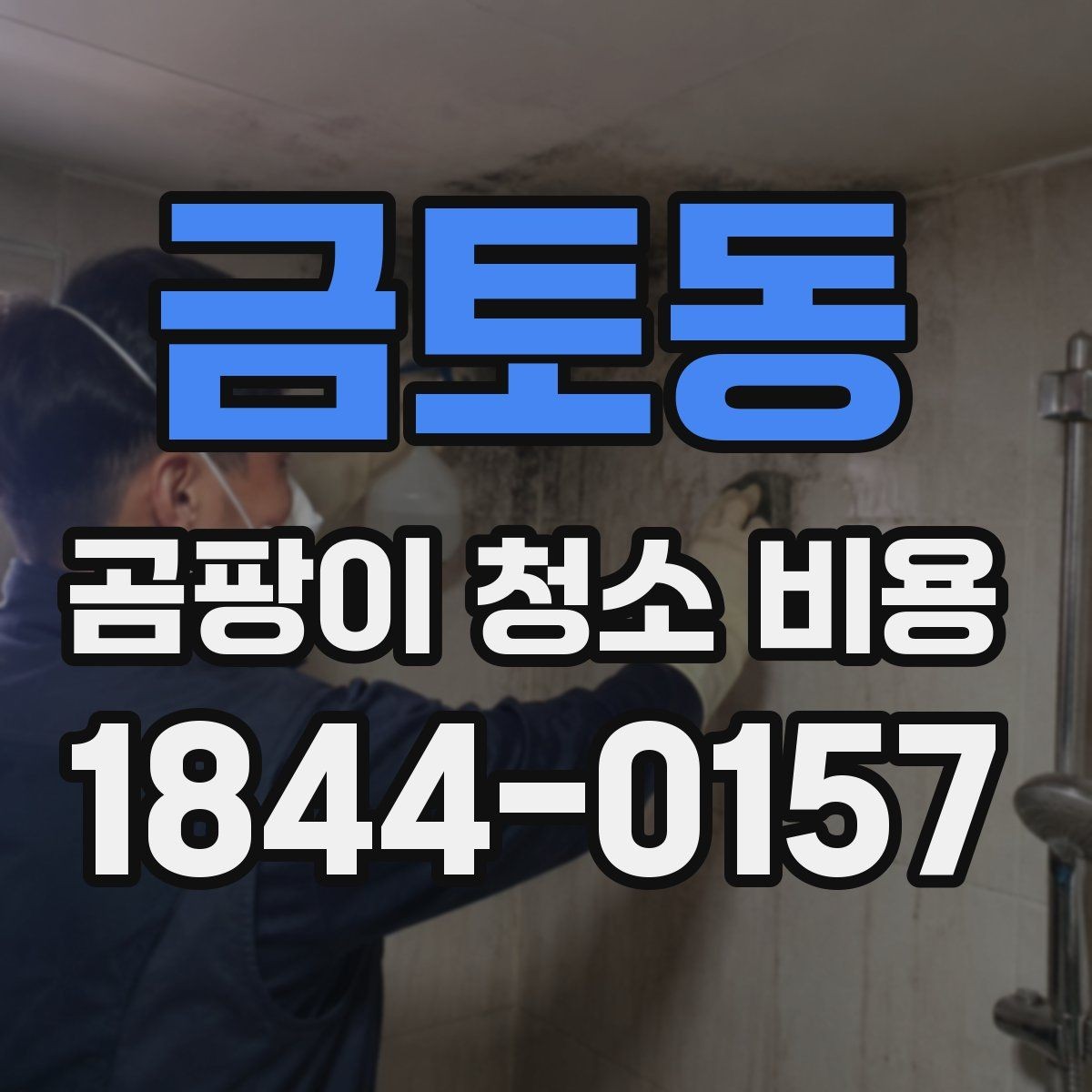 금토동 곰팡이 청소 비용 상담 전에 살펴볼 주의사항