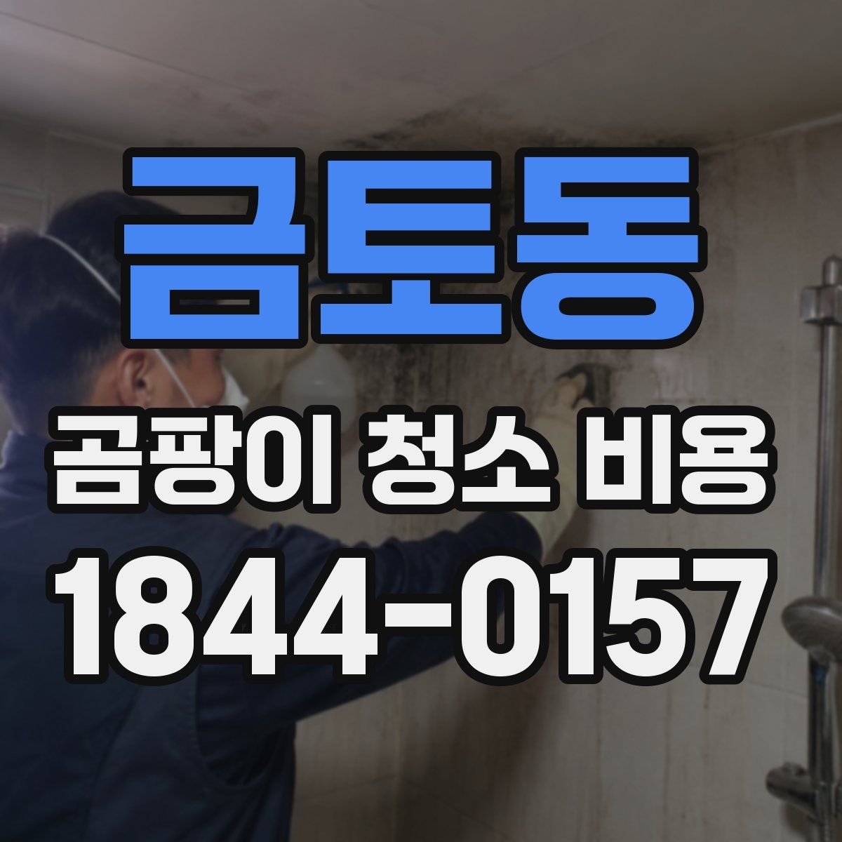 금토동 곰팡이 청소 비용