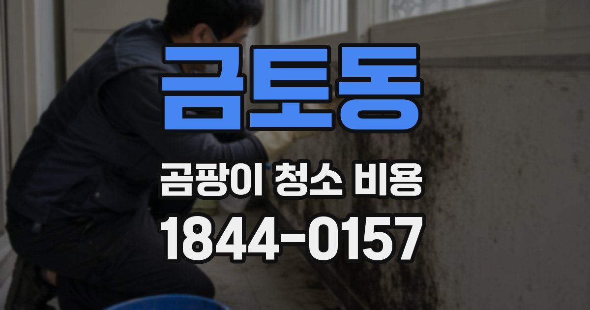 금토동 곰팡이 청소 비용