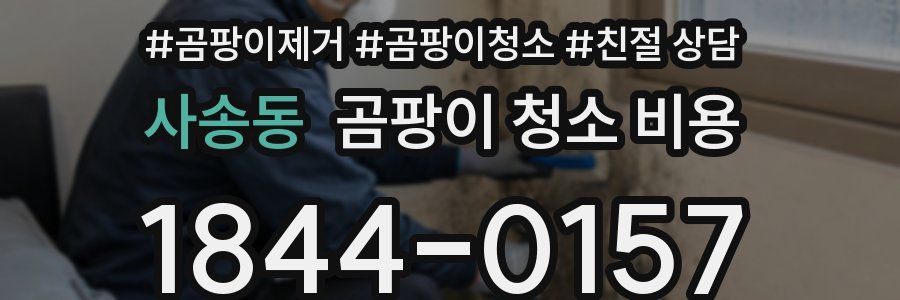 사송동 곰팡이 청소 비용