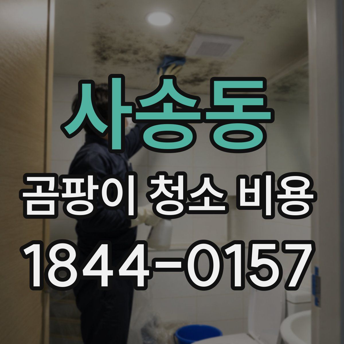 사송동 곰팡이 청소 비용