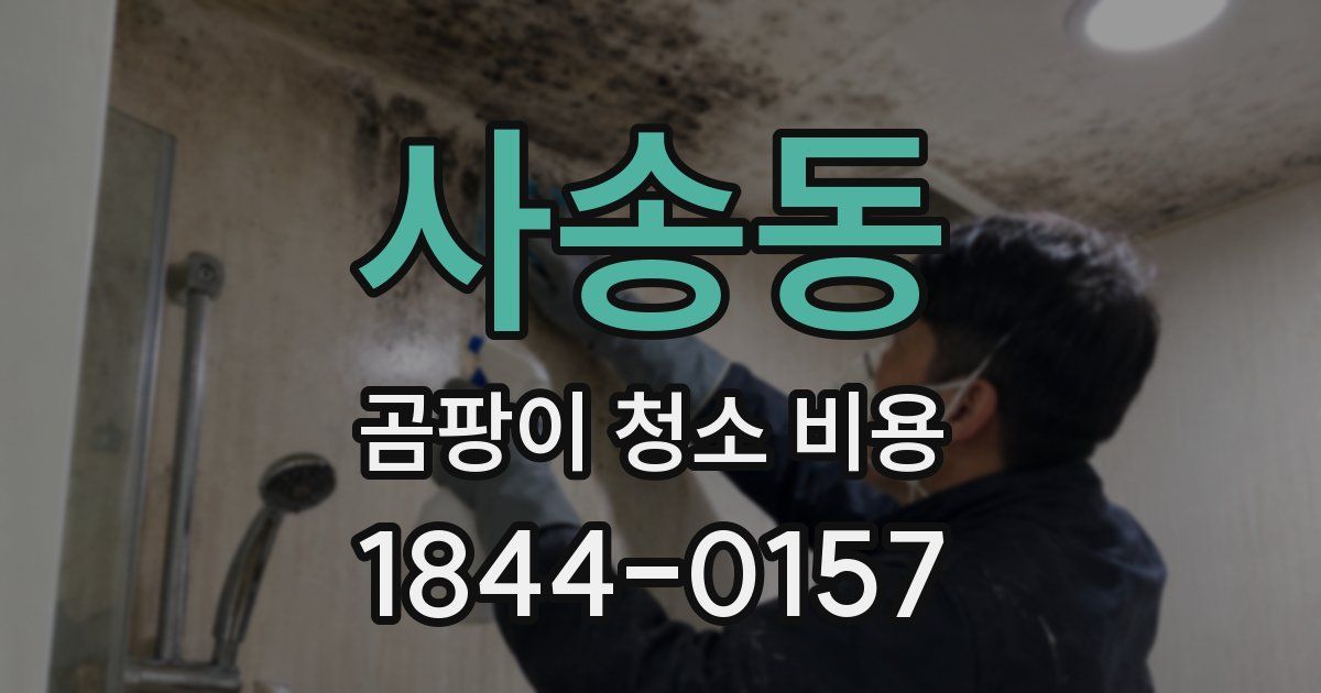 사송동 곰팡이 청소 비용