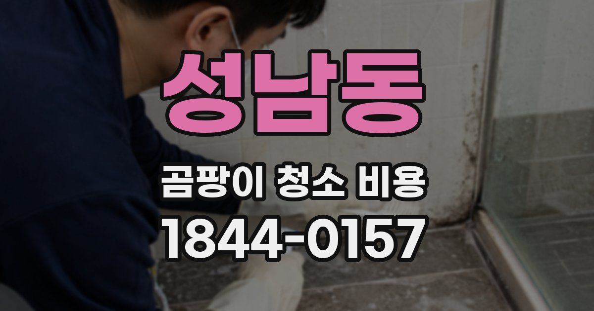 성남동 곰팡이 청소 비용