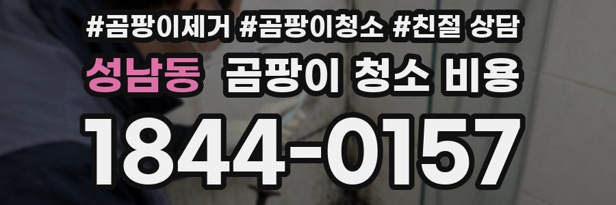 성남동 곰팡이 청소 비용