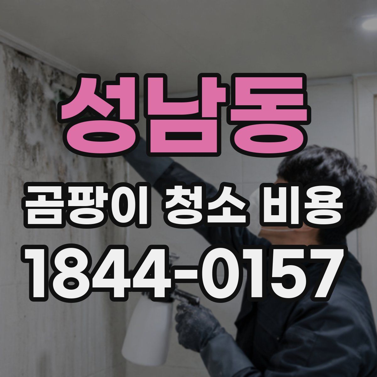 성남동 곰팡이 청소 비용