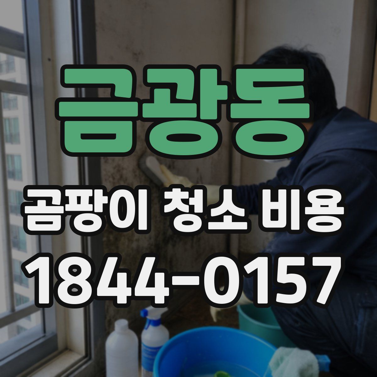 금광동 곰팡이 청소 비용