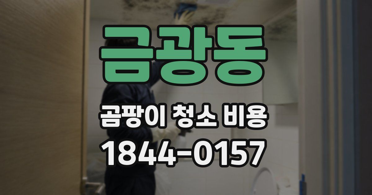 금광동 곰팡이 청소 비용